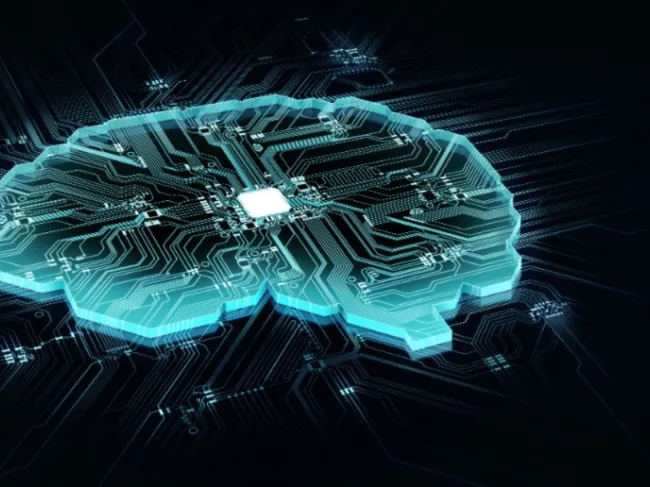 brain made of circuits